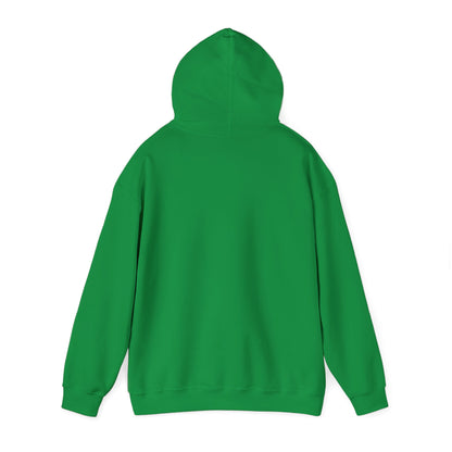 Unisex Heavy Blend™ Hooded Sweatshirt/ sketch